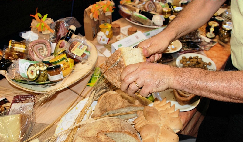 agroalimentari-(800x469).jpg