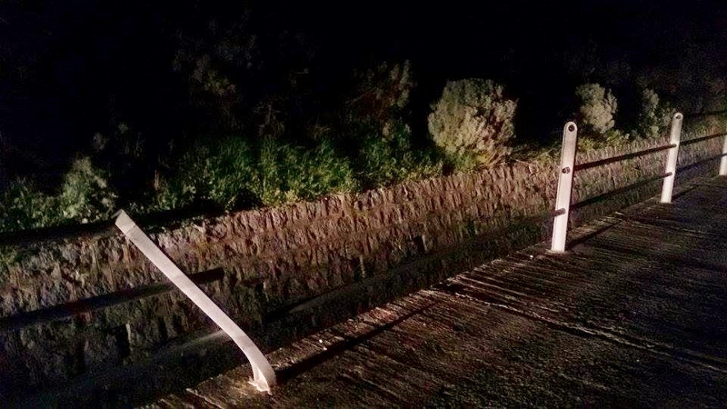 ringhi5-(800x450).jpg