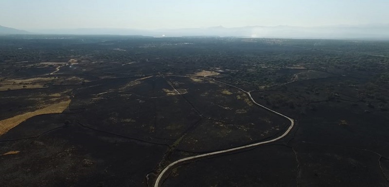 Foto di Conte di Montecristo