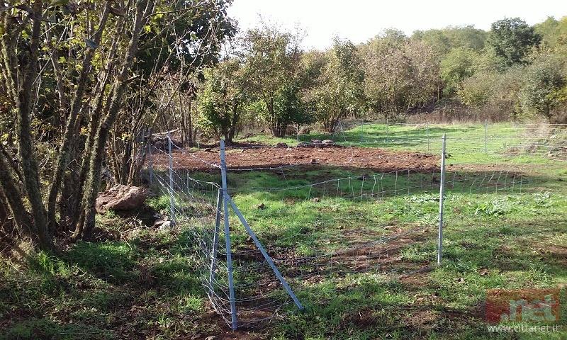 Il sito del sotterramento presso il Monte S.Antonio