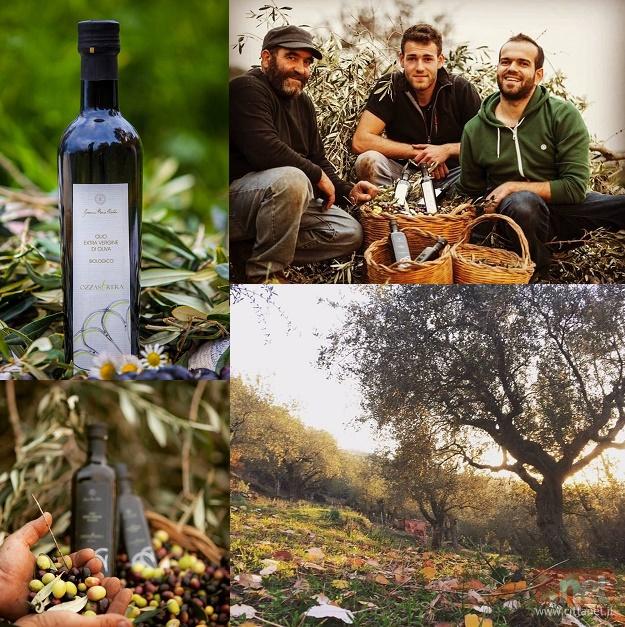 olio-ozzastrera.jpg